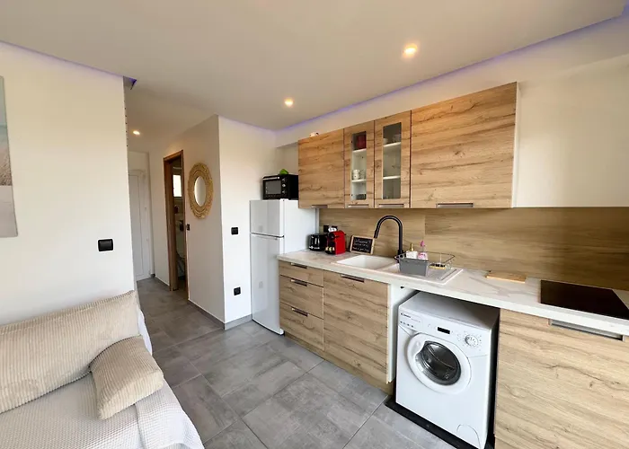 Le Cocon Marin , Vue , Clim , Parking , Piscine * Antibes